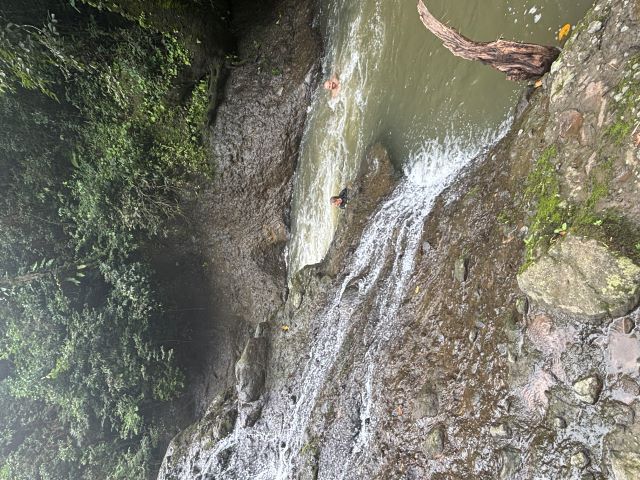 pana39