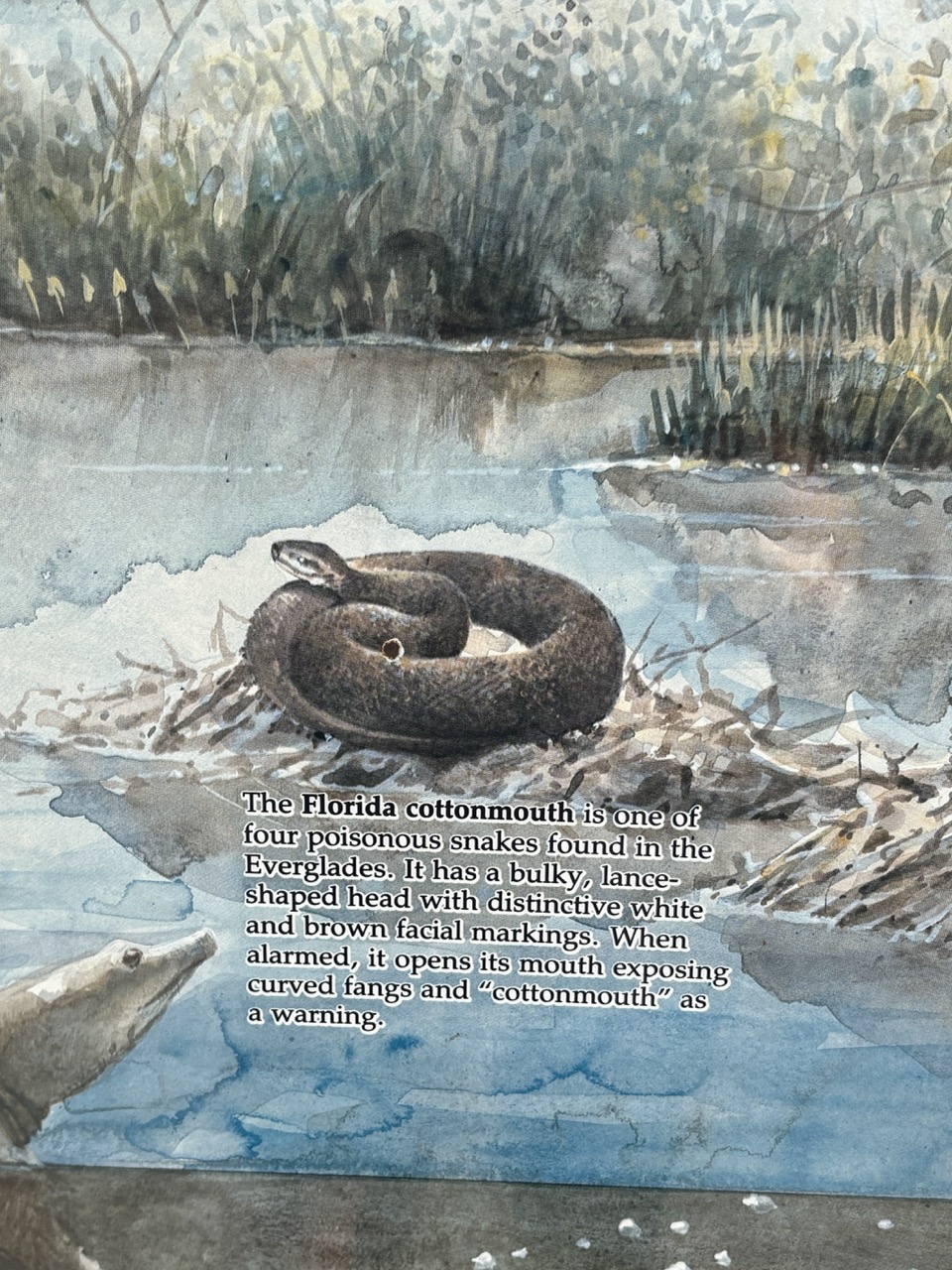 Source